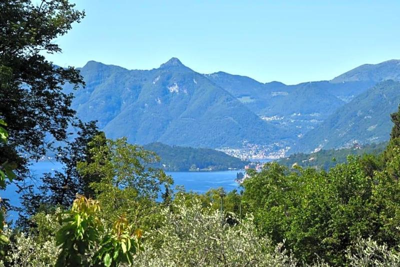 Il Portichetto image