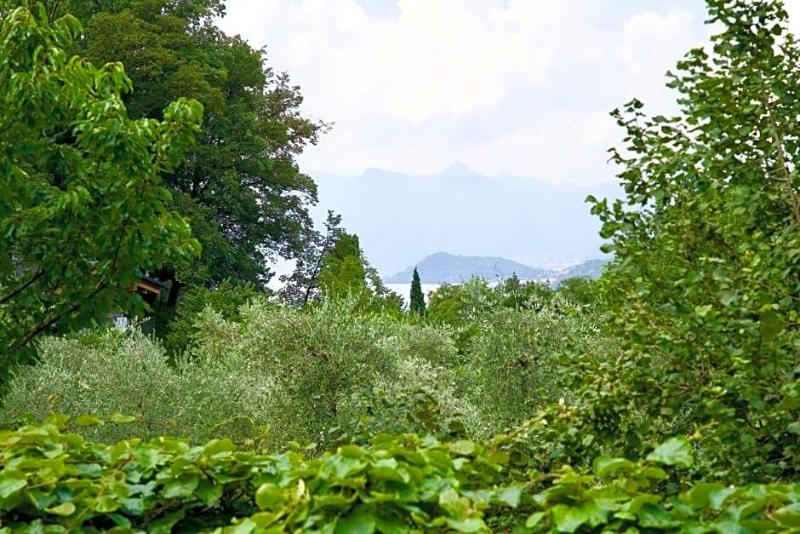 Il Portichetto image