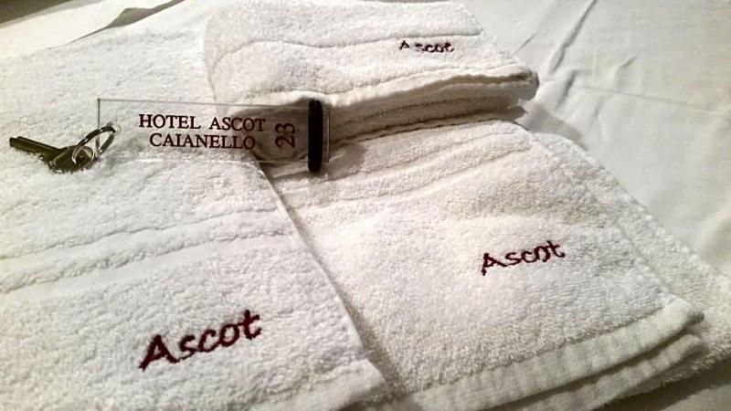Hotel Ascot image