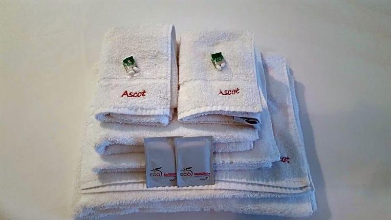 Hotel Ascot image