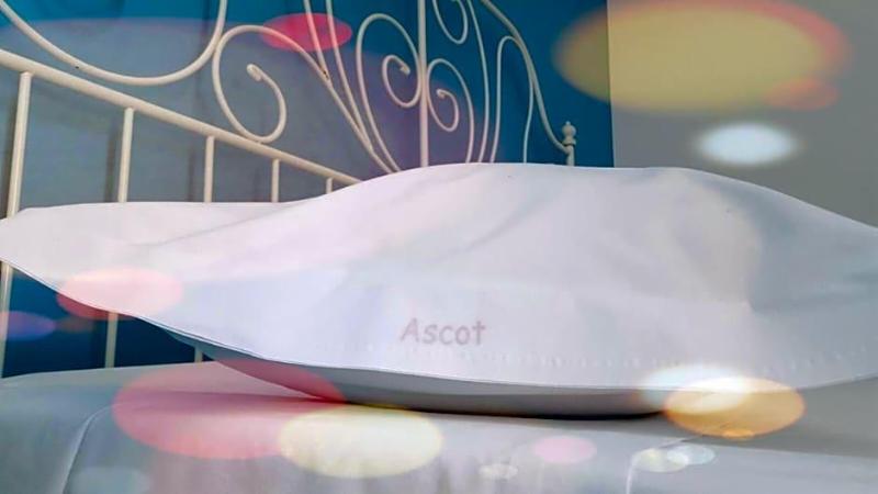 Hotel Ascot image