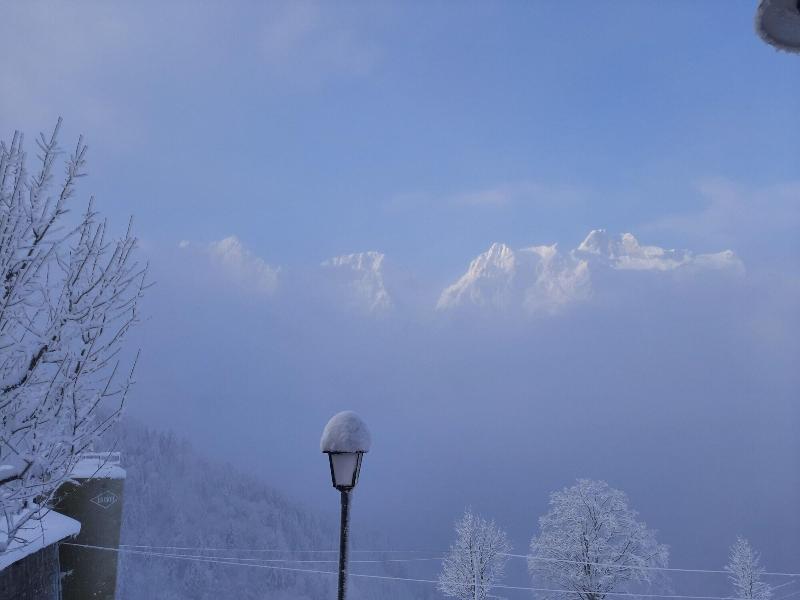 Gasthaus Schwand image