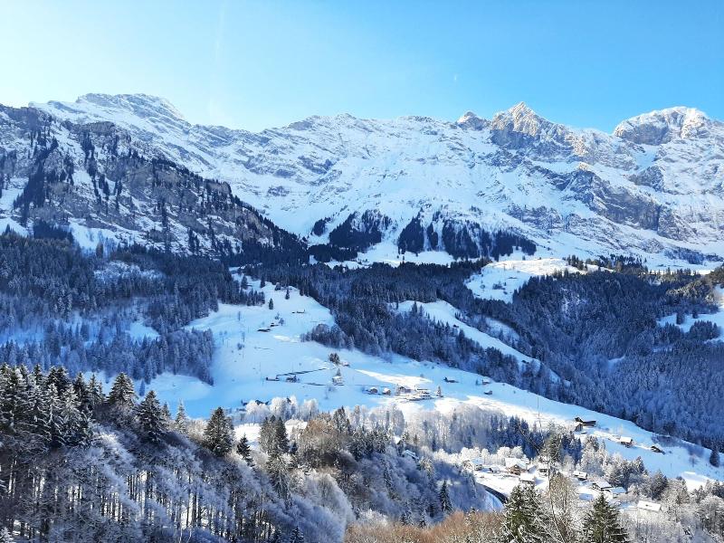 Gasthaus Schwand image