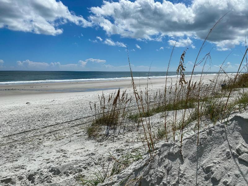 Seahorse Oceanfront Inn — photo 22