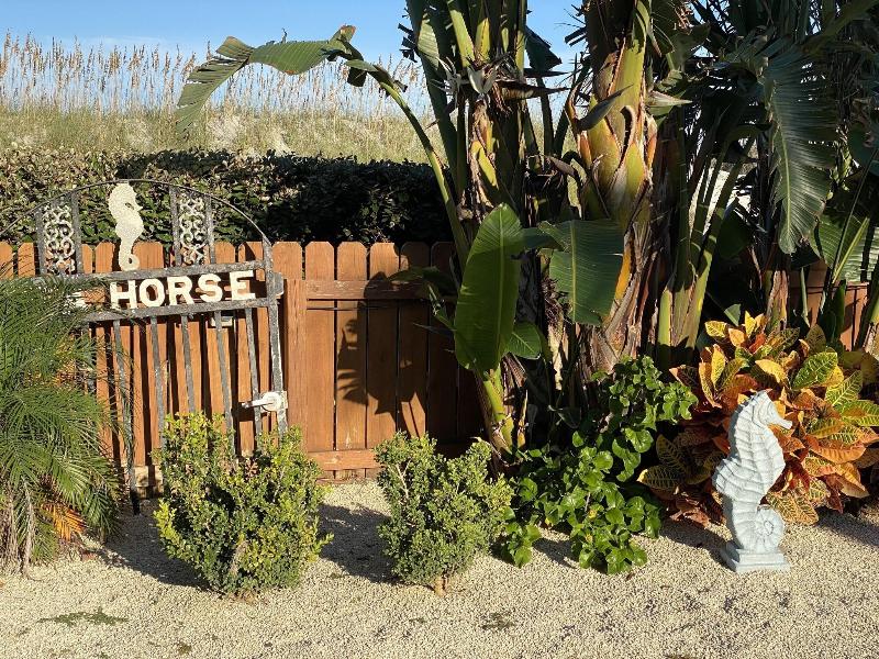 Seahorse Oceanfront Inn — photo 30