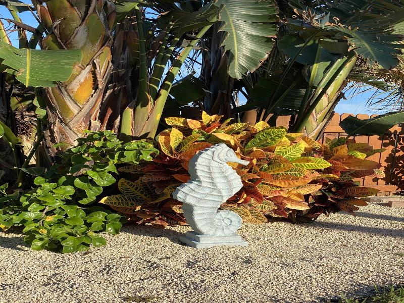 Seahorse Oceanfront Inn — photo 45