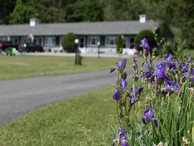 Governor S Rock Motel