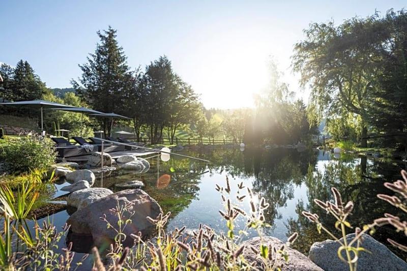 Alpine Spa Resort Viktoria image
