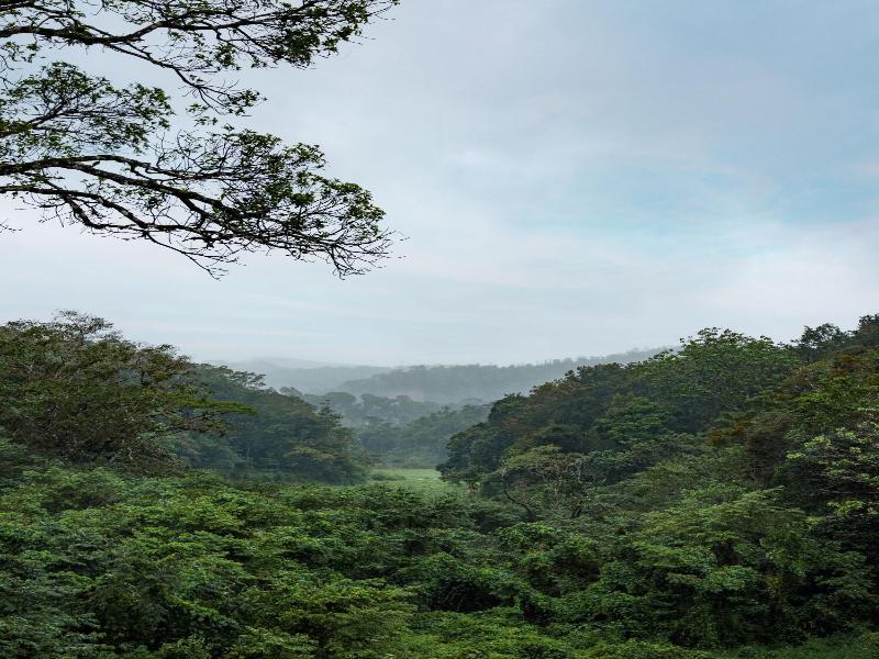 Coorg Marriott Resort & Spa image