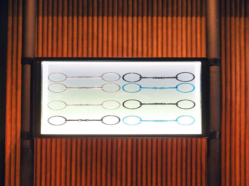 Renaissance Beijing Haidian Hotel image