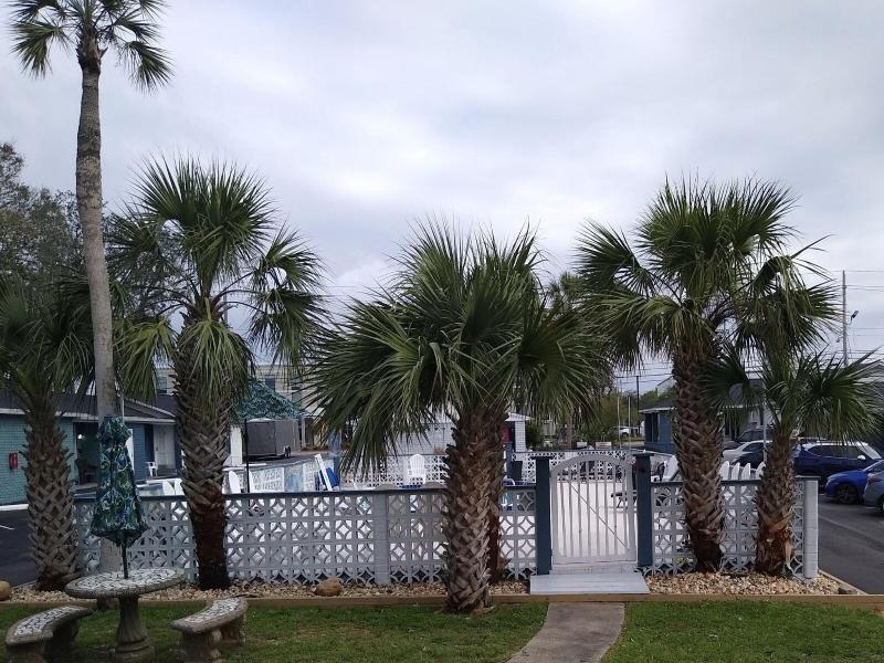 Gulf Coast Inn