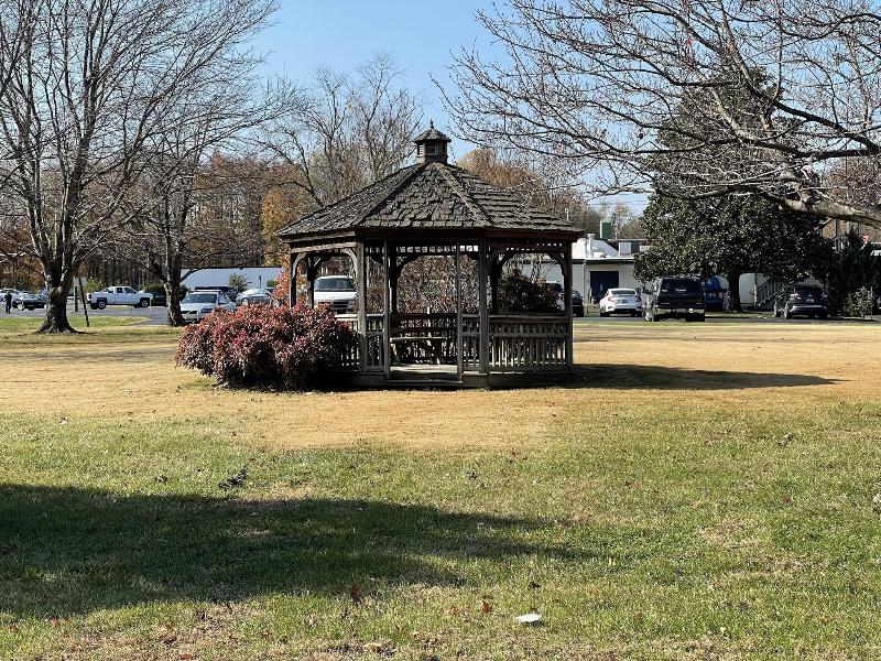 Rips Country Inn image