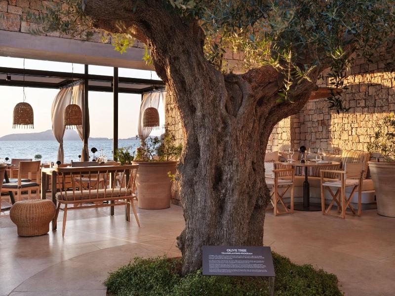 W Costa Navarino- Adults Only image