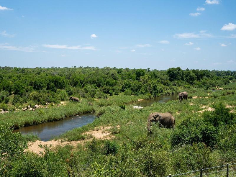 Leopard Sands, Kruger Park image