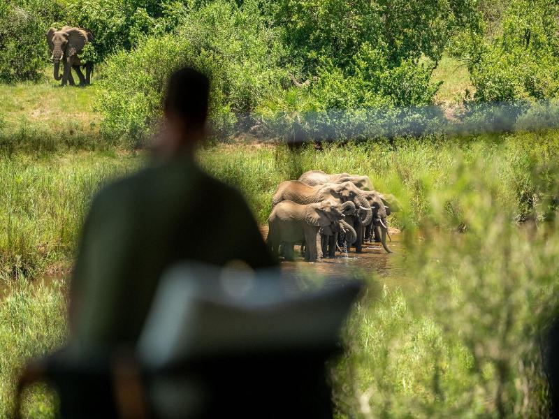 Leopard Sands, Kruger Park image