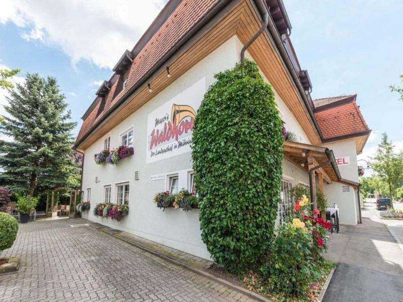 Mayers Waldhorn Zwischen Reutlingen Und Tv Bingen image