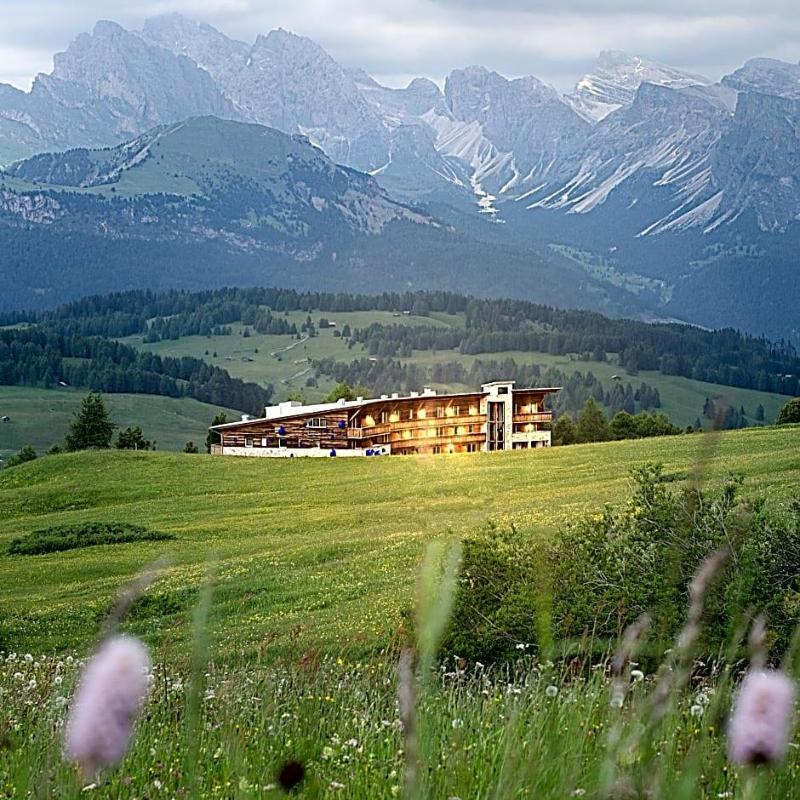 Paradiso Pure Living Vegetarian Vegan Hotel image