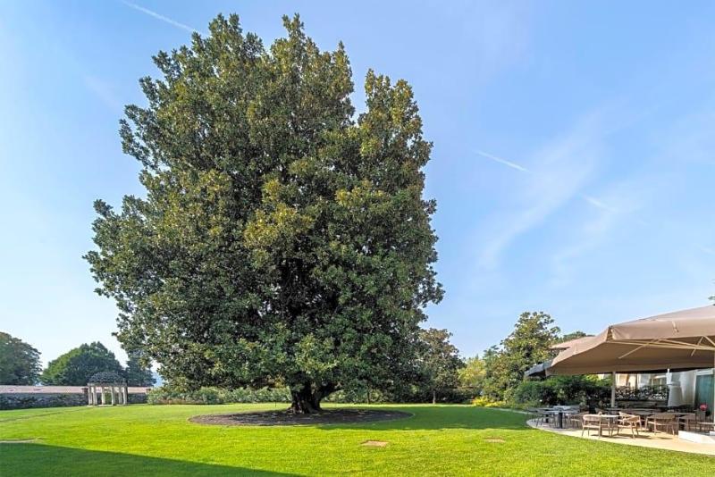 Villa I Pini image
