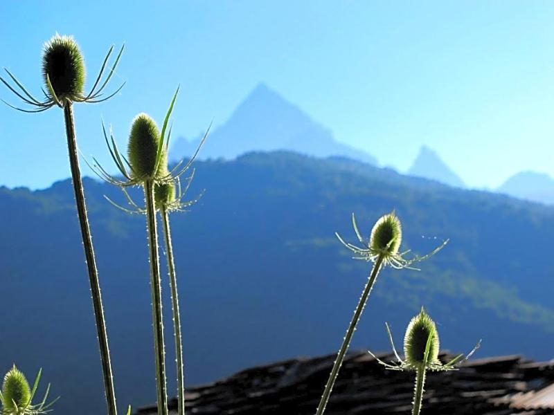Rifugio Galaberna image