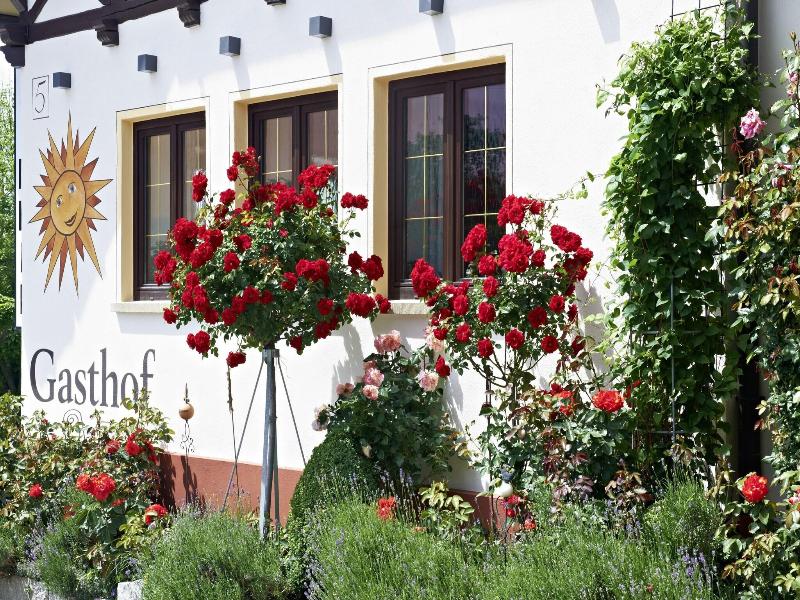 Gasthof Zur Sonne image