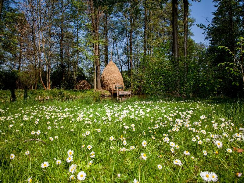 Hotel Zum Stern Spreewald image