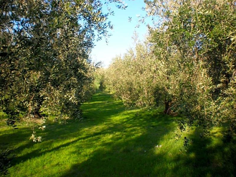 Locanda La Gozzetta image
