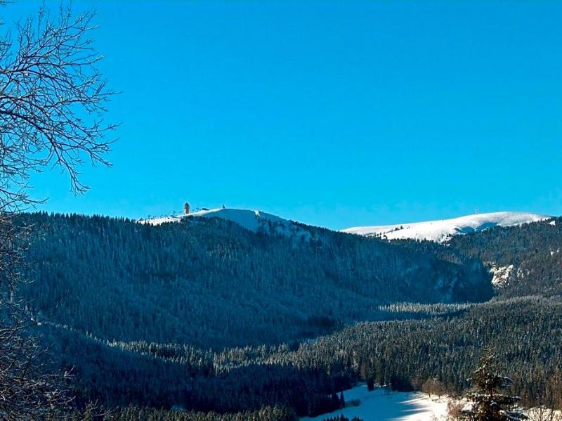 Zur Traube Schwarzwaldhotel Restaurant Am Titisee image