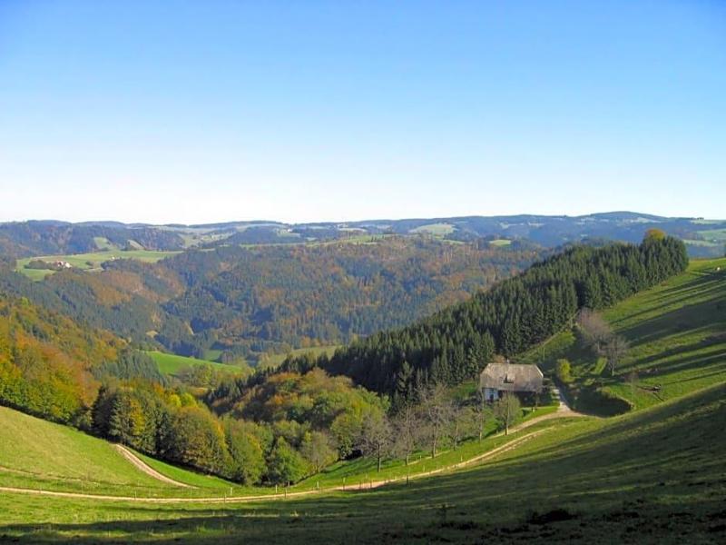 Zur Traube Schwarzwaldhotel Restaurant Am Titisee image
