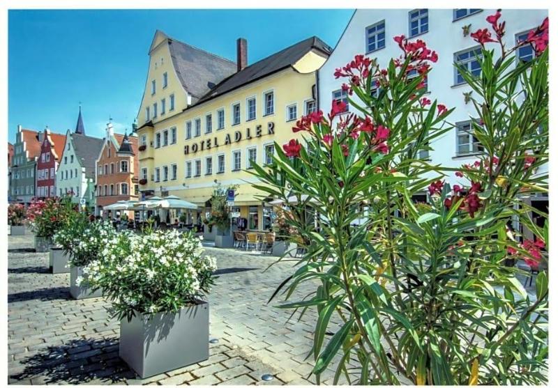 Hotel Adler image