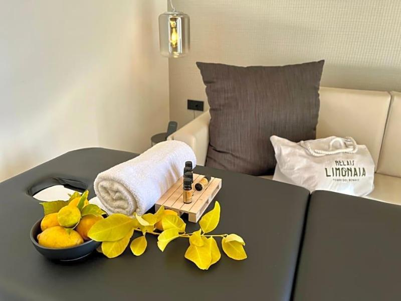 Relais Limonaia - Suites & Garden Spa image
