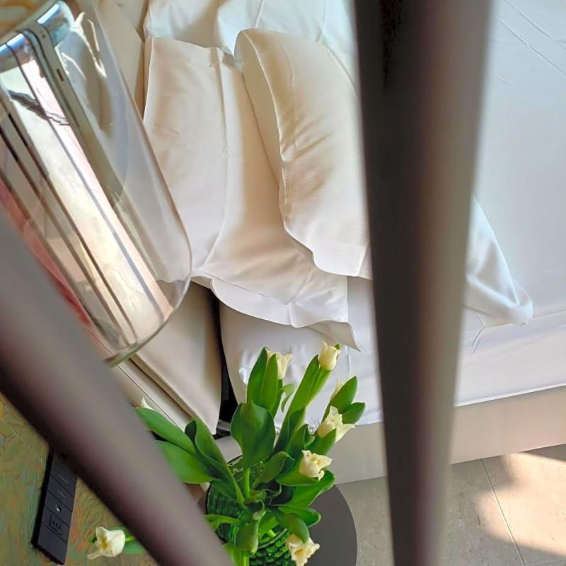 Relais Limonaia - Suites & Garden Spa image