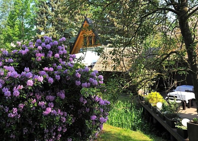 Hotelanlage Starick image