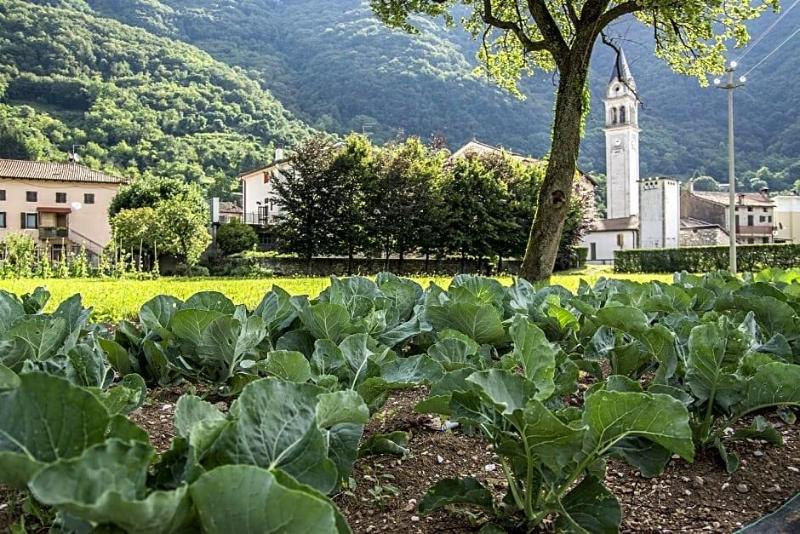 Locanda Solagna image