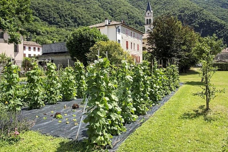 Locanda Solagna image
