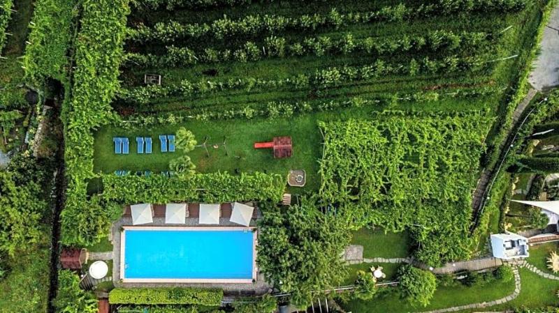 Palmengarten Hotel Gstv R image