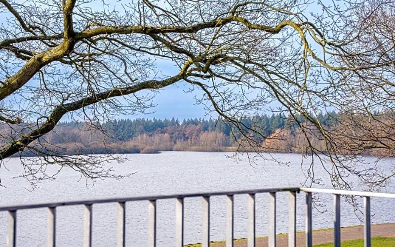 Hotel Seeblick image