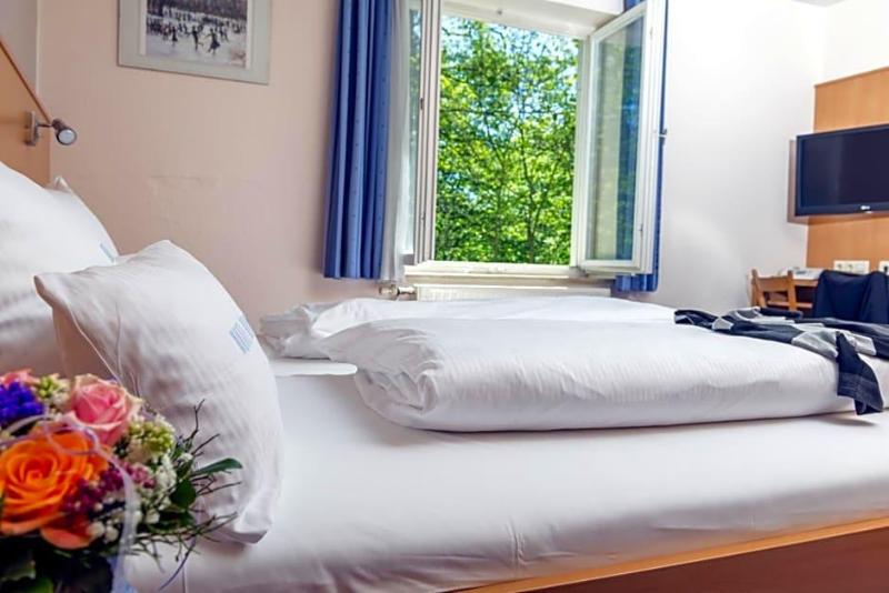 Hotel Adler image