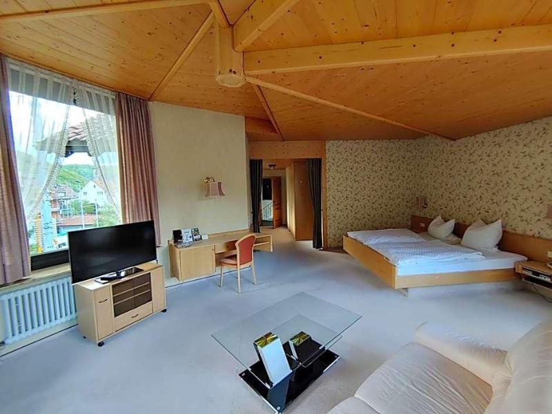 Hotel Adler image