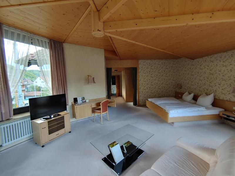 Hotel Adler image