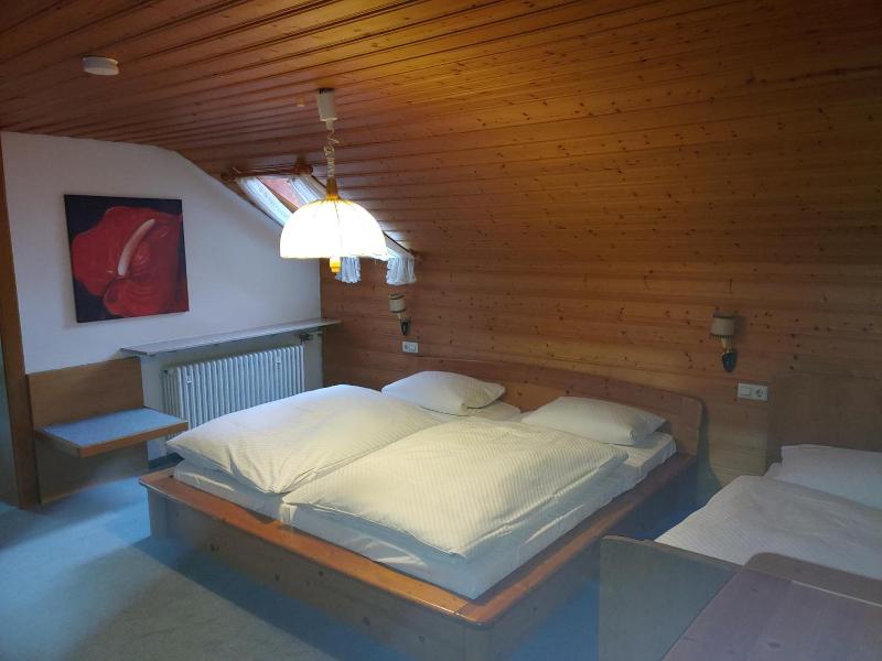 Hotel Adler image