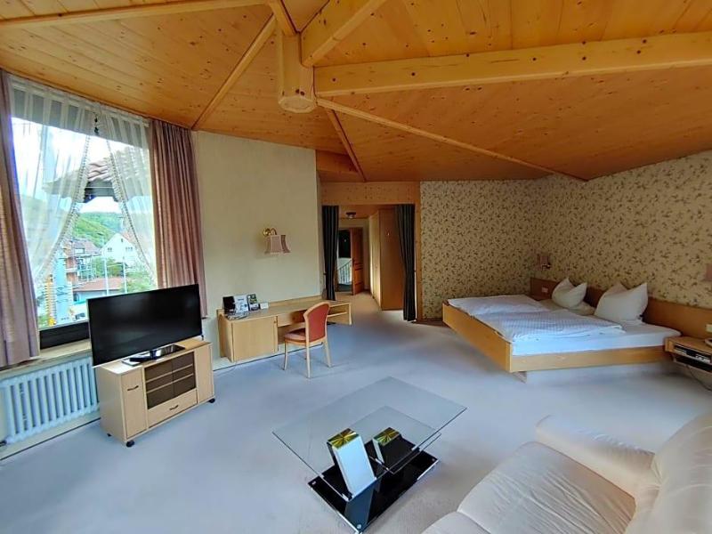 Hotel Adler image