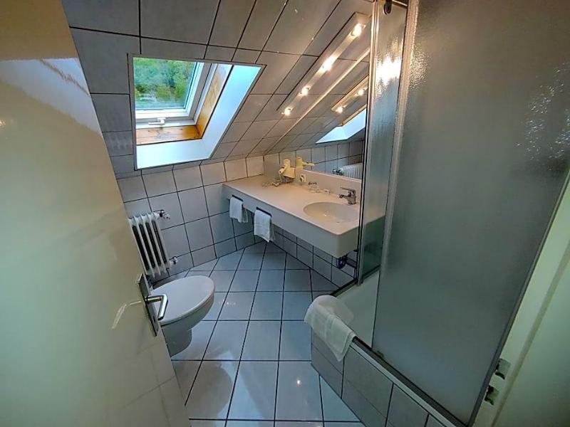 Hotel Adler image