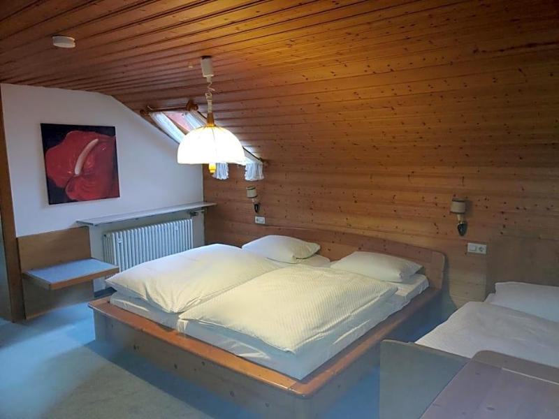 Hotel Adler image