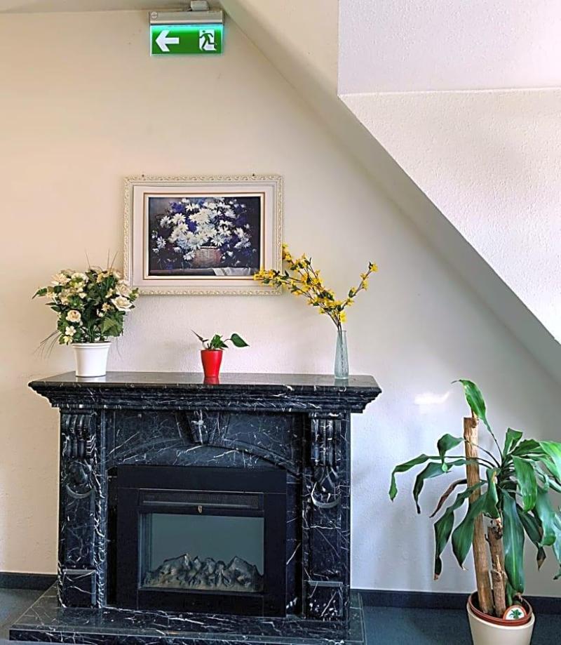 Hotel Birkenwerder image
