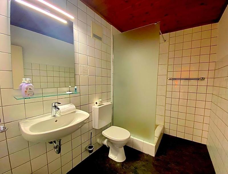 Hotel Gasthof Rose image