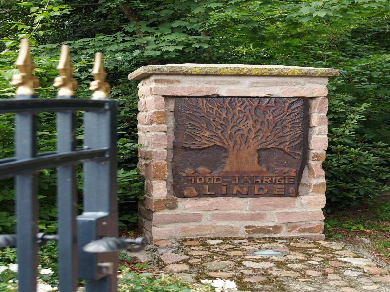 Zur Linde image