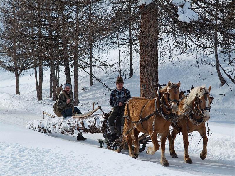 Vetta Alpine Relax image