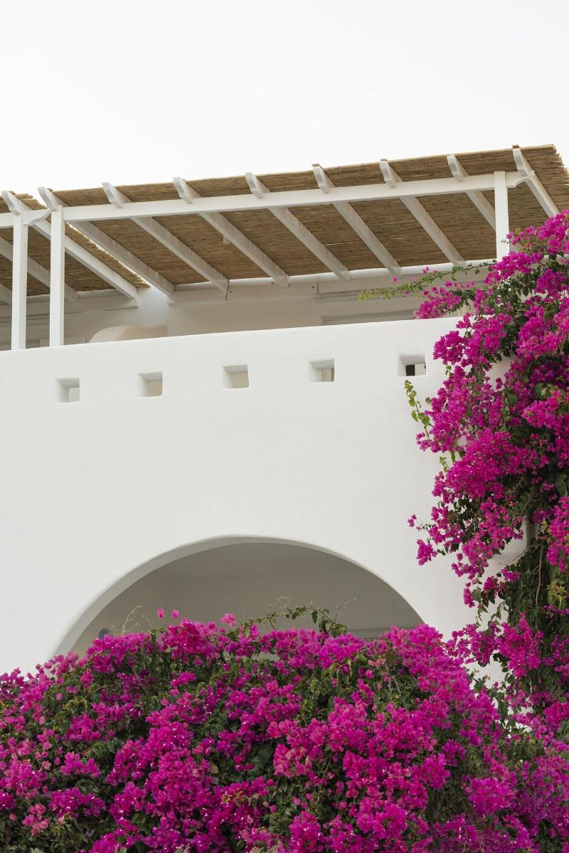 Kameo Antiparos image