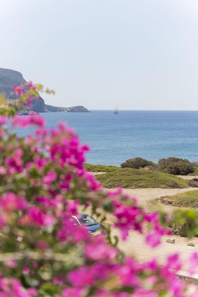 Kameo Antiparos image