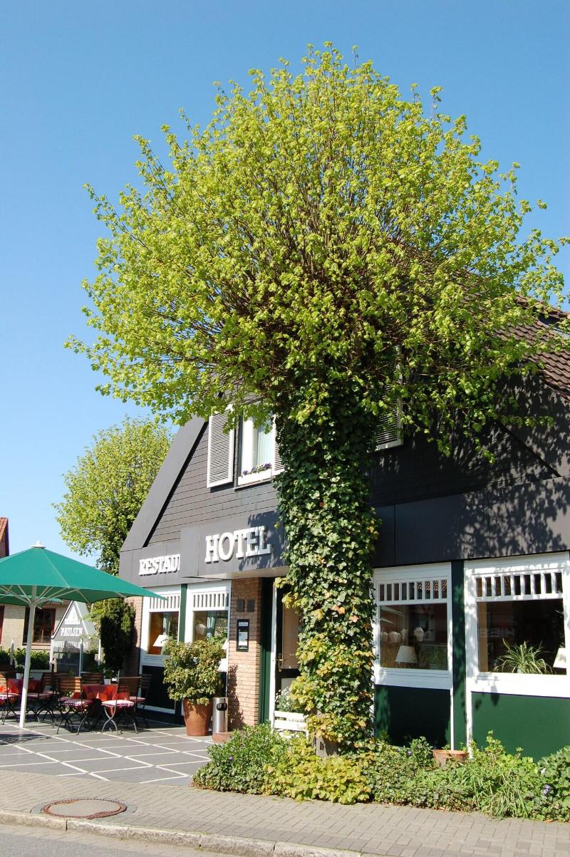 Ringhotel Paulsen image